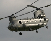 chinook3