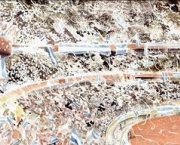 historia-das-copas-9