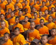 Histórias Budistas (12)