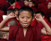 Histórias Budistas (15)