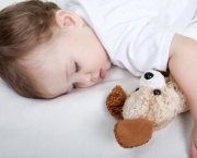 Historias Para Contar Para as Criancas Antes de Dormir (12)