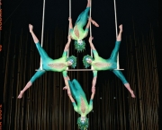 Varekai-Cirque-du-Soleil-3.jpg