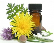 Homeopatia Veterinária (5)