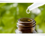 Homeopatia Veterinária (12)