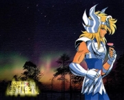 hyoga-de-cisne-15