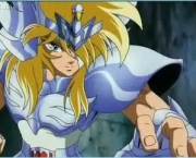 hyoga-de-cisne-4