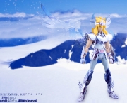 hyoga-de-cisne-5