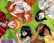 ichigo-do-bleach-9