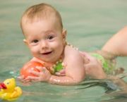 Baby Swimmer