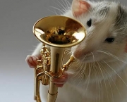 instrumentos-musicais-em-miniatura-11