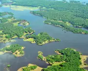 Investimento Amazônia (5)