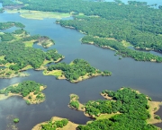 Investimento Amazônia (5)