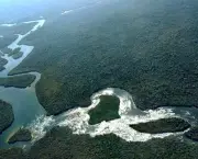 Investimento Amazônia (9)