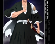 isshin-kurosaki-do-bleach-2