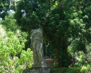 jardim-botanico-de-pittsburg-21