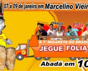 jegue-folia-10