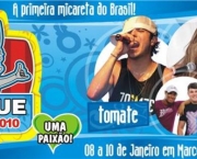 jegue-folia-8