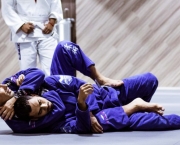 Jiu-Jitsu (2)