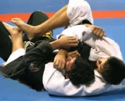 Jiu-Jitsu 14