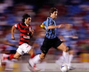 jogos-do-brasileirao-flamengo-x-gremio-6