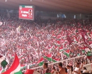 jogos-do-brasileirao-fluminense-x-internacional-7