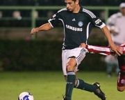 jogos-do-brasileirao-fluminense-x-palmeiras-12