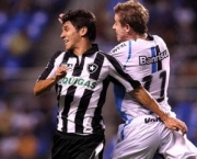 jogos-do-brasileirao-gremio-x-botafogo-12