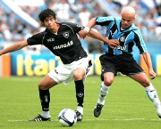 jogos-do-brasileirao-gremio-x-botafogo-2