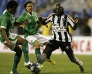 jogos-do-brasileirao-guarani-x-botafogo-10