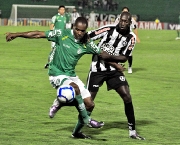 jogos-do-brasileirao-guarani-x-botafogo-13