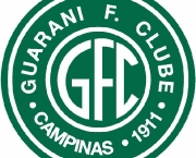 jogos-do-brasileirao-guarani-x-botafogo-9