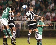 jogos-do-brasileirao-palmeiras-x-botafogo-4