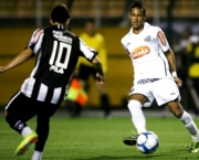 jogos-do-brasileirao-santos-x-botafogo-5