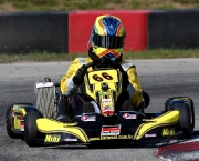 Kart 7