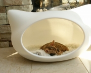 cama-de-gato1.jpg