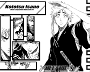 kotetsu-isane-do-bleach-15