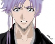 kotetsu-isane-do-bleach-6