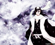 kuchiki-byakuya-do-bleach-11