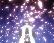 kuchiki-byakuya-do-bleach-12