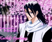 kuchiki-byakuya-do-bleach-13