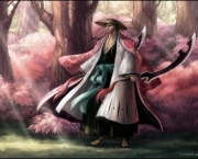 kyouraku-shunsui-do-bleach-10