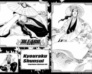 kyouraku-shunsui-do-bleach-11