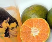 laranja-3