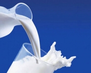 leite-e-mesmo-eficiente-contra-venenos-4