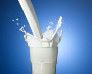 leite-e-mesmo-eficiente-contra-venenos-5
