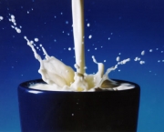 leite-e-mesmo-eficiente-contra-venenos-7