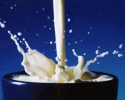 leite-e-mesmo-eficiente-contra-venenos-9