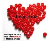 leucemia-no-sangue-2