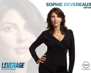 leverage-9