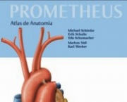 livro-anatomia-8